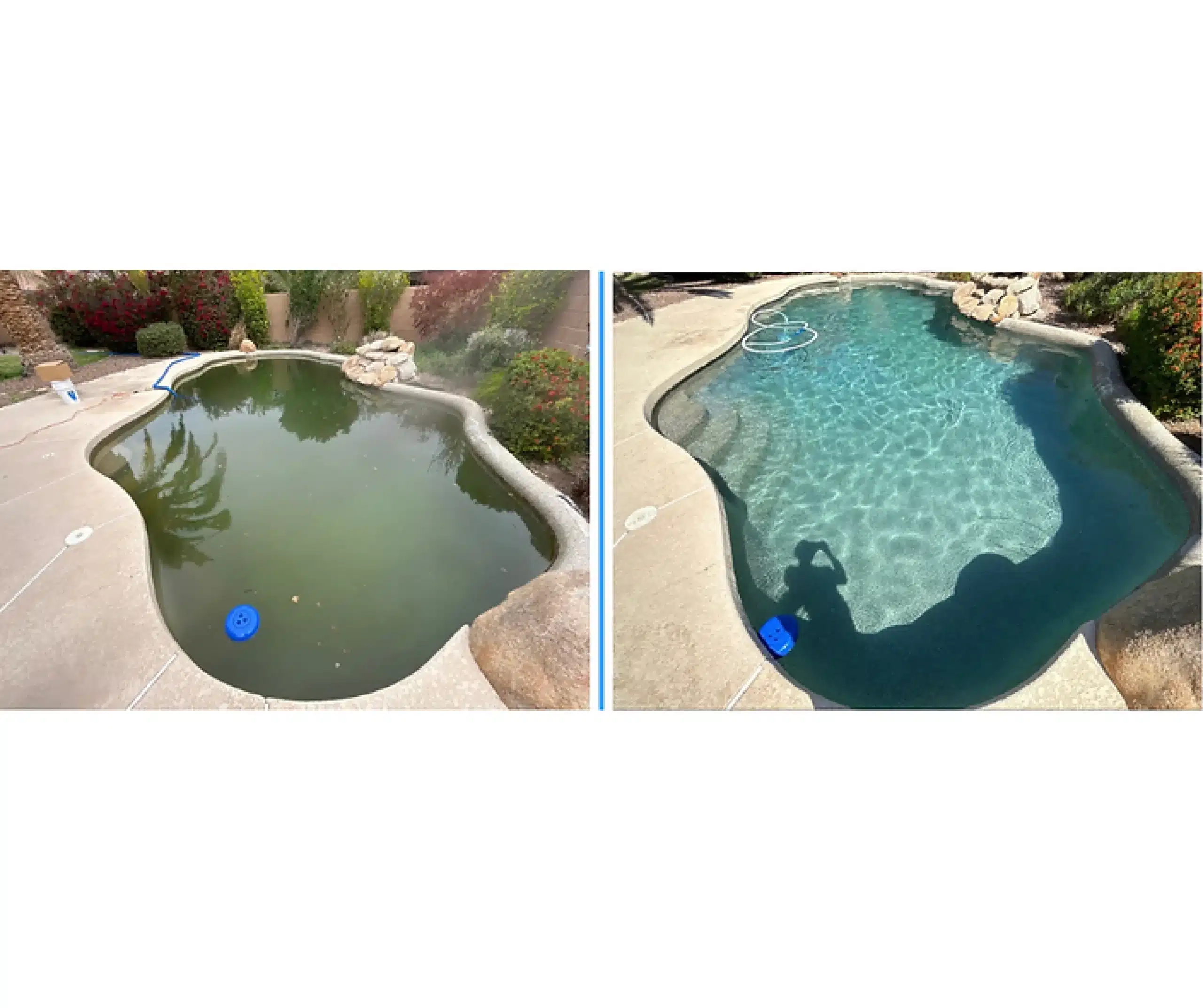 Green to Clean Pool Service