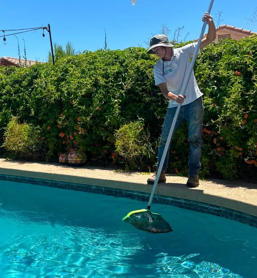 Weekly Cleaning